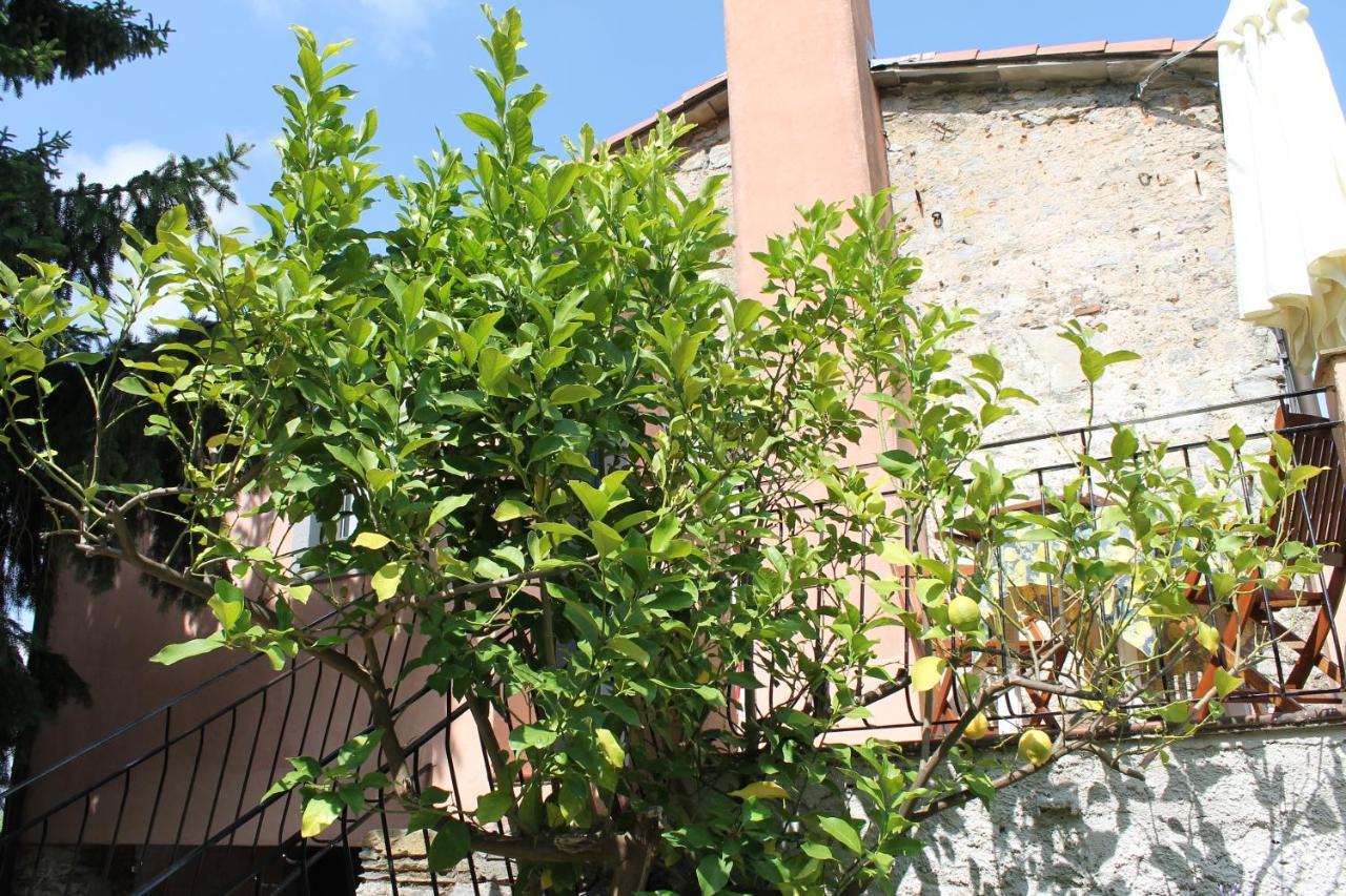 Terrazza Sul Golfo - Il Casale Farm stay La Spezia